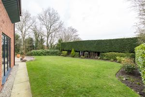 Garden- click for photo gallery